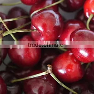Bagged 18 Degree Sugar Content of China Fresh Cherries thumbnail-3