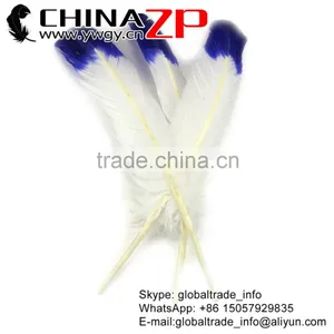 CHINAZP Factory Cheap Wholesale Feather Size From 30cm to 35cm Dyed Blue Half Dipped Bicolourable Turkey Rounds Wing Feathers thumbnail-1