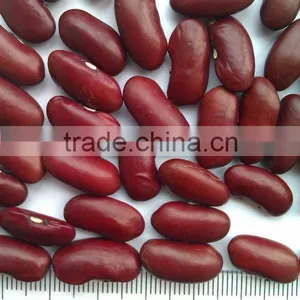 Red Kidney Bean( British Type, Heilongjiang Origin.hps) thumbnail-1