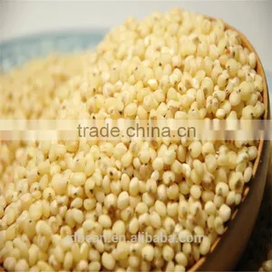 Glutinous Sweet Red Sorghum With High Starch thumbnail-2