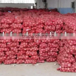 Bulk New Crop of Onion Harvest! thumbnail-1