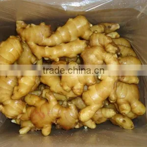 2011 Crop Fresh Ginger thumbnail-1