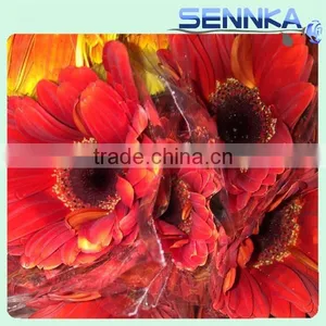 Savanna Gerbera Ceremony Fresh Cut Flowers Fresh Cut Gerbera thumbnail-1