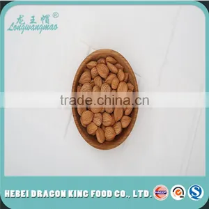 Apricot -Apricot Nuts - Raw Bitter and Sweet Kernels, Apricot Kernel From Own Factory thumbnail-4