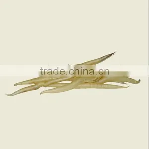 Big Quantity Export Dried Fish Maws From Bangladesh thumbnail-4