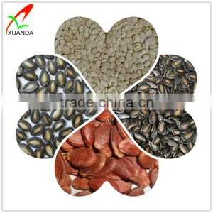 Hot Sale High Quality Black & Red Watermelon Seed From China thumbnail-3