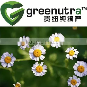 GMP Manufacturer Chamomile Extract/Camomile Extract thumbnail-1