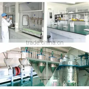 Hot Sale Supplement Evening Primrose Oil From China thumbnail-4