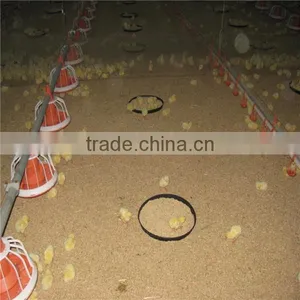 Broiler Chicken Feeding Equipment thumbnail-6