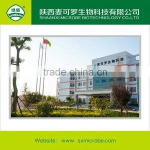 High Quality Fungicide Ningnanmycin WP thumbnail-4