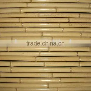 Bamboo Cane thumbnail-1