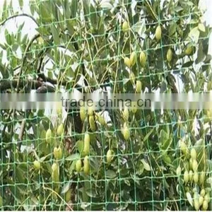 Cucumber Net Plant Support Net Garden Net thumbnail-1