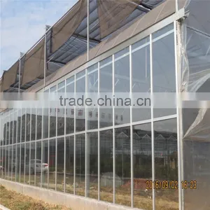 Multi-Span Agricultural Greenhouses thumbnail-1