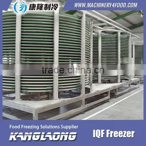 Hot Selling Spiral Freezer FS With High Quality thumbnail-1