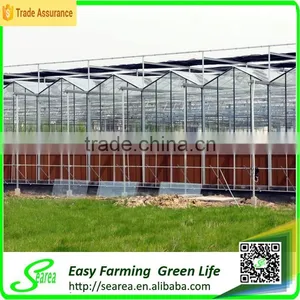 Plastic Film Agricultural Prefabricated Greenhouse for Growing thumbnail-2
