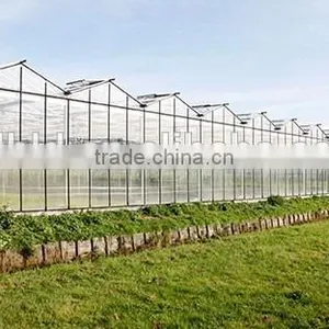 Multi Span Polycarbonate Green House Agriculture & Commercial Used Greenhouse thumbnail-1