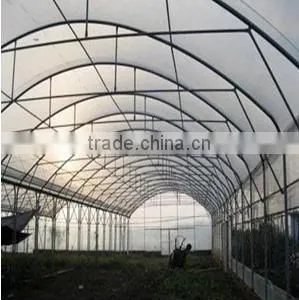 Hot Sale Film Greenhouse for Vegetables thumbnail-1