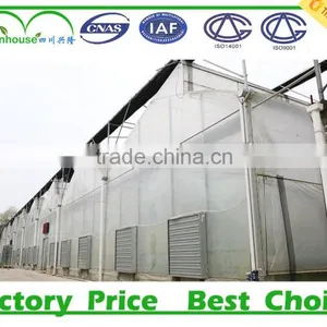 Commercial Greenhouses thumbnail-6