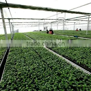 China Supplier Plant Growing Tray Seed Germination Tray for Greenhouse With Good Price thumbnail-3