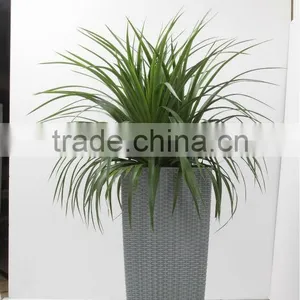 Flower Pot TB04,big Garden Flower Pots,plastic Gardening Pots thumbnail-1