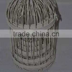 Big Birdcage thumbnail-2