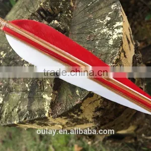 Nature Bamboo Arrows With Three Different Weights Screw-in Points And Brass Inserts thumbnail-3