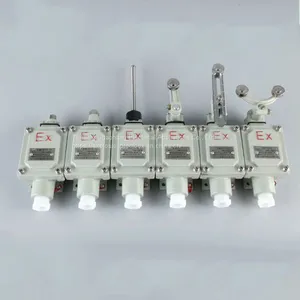 Explosion-proof Travel Switch Limit Switch Bzx51-5d 5L 5Z 5N 5S 5T Explosion-proof Proximity Switch With Double Rocker Arms thumbnail-1