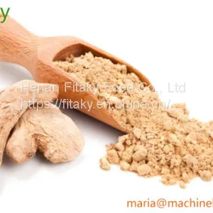 Bulk Ginger Powder Wholesale Price thumbnail-1