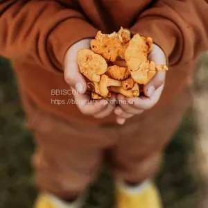 BISCUIT thumbnail-2