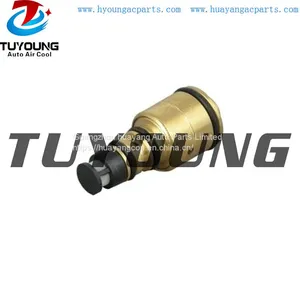 TUYOUNG HY-CR33 China Supply AC Compressor Control Valve thumbnail-1