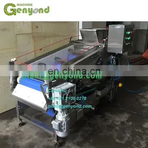 Energy Saving Apple Juice Belt Press / Juicer Machine thumbnail-2