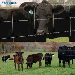 Black Anti-Theft Temporary Aluminum Panel Fence for Farm and Pool Security thumbnail-5