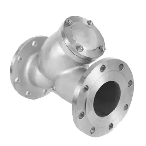 Manufacturer Direct Sales Stainless Steel Filter Flange Filter thumbnail-2