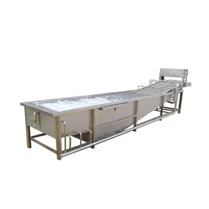 Small Scale Fruit and Vegetable Blanching Processing Equipment thumbnail-5