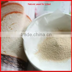 Natural Yeast for Bread thumbnail-1