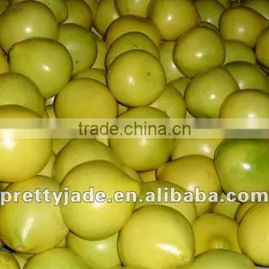 Big Fresh Pomelo thumbnail-1
