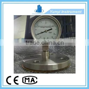 Flange Type Diaphragm Pressure Gauge thumbnail-1