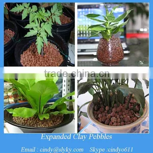 4-20 mm Red Clay Pellets Ball Fertilizer in Miniature Pot thumbnail-1