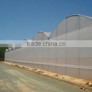 Hydroponic Controllers, Greenhouses and Commercial Hydroponic Systems for Tomato, Lettuce and Strawberry Production thumbnail-4