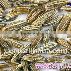 Chinese Dried Black Cumin Spicy Enough thumbnail-1