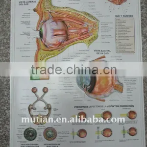3D Embossed Puffi Eye Chart thumbnail-1