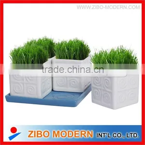 Porcelain Ware/The Table Potted thumbnail-1