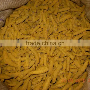 Turmeric Double Polished Finger Nizamabad Variety thumbnail-1