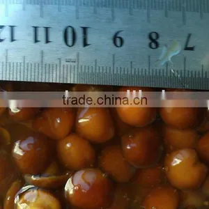 Canned Nameko Pickled in Glass Jars thumbnail-1
