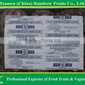 Top Quality Fresh Sweet Yunnan Red Grapes for Sell With POP SGV Brand thumbnail-4