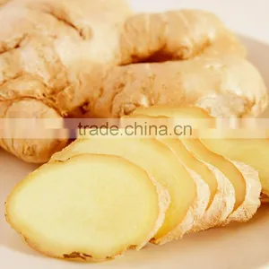 Wholesale Common Cultivation Type Fresh Ginger thumbnail-5