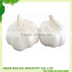 China Fresh Pure White Garlic thumbnail-1