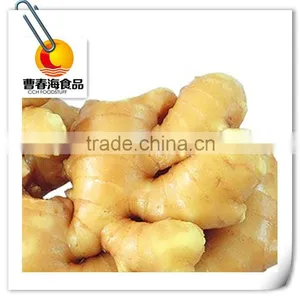 China Fresh Ginger thumbnail-1