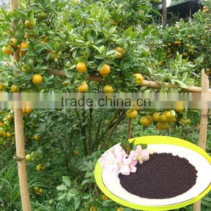The Best Fertilizer Npk Trace Element Fertilizer thumbnail-4