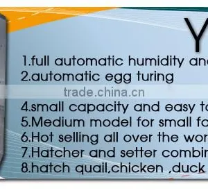 YZITE-10 HHD 1000 Eggs CE Approved Incubator for Egg in Japan thumbnail-5